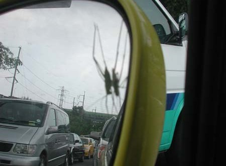 1380945092-2241190238