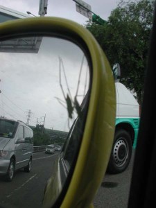 1380945092-4118250650