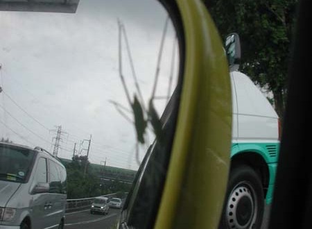 1380945092-4118250650