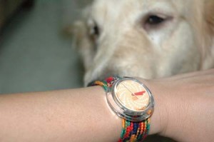 1380945134-1906981557