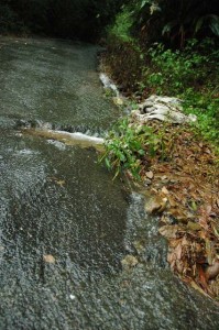 1380945135-3916781156