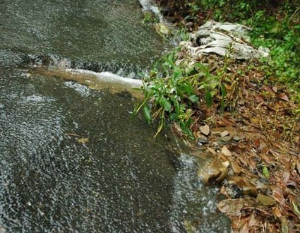 1380945135-3916781156