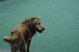 1380945136-3971239760