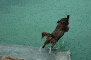 1380945136-709425145