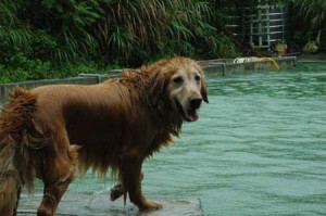 1380945137-2856851948