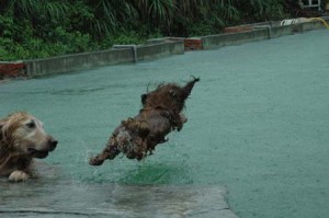 1380945137-3797535733