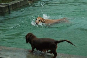 1380945138-1981023403