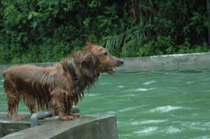 1380945138-243861489