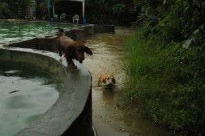 1380945138-2903095820