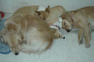 1380945145-3726364682