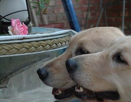 1380945176-2316394063