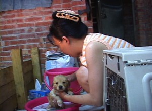 1380945232-3826206894