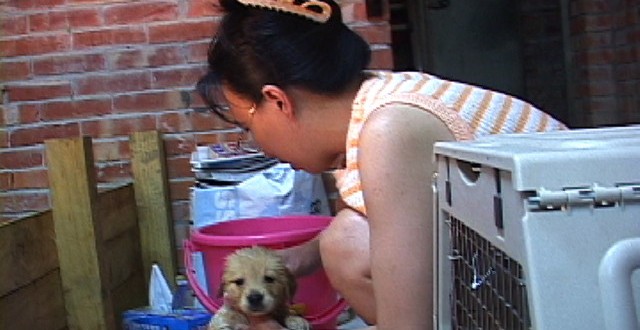 1380945232-3826206894