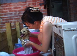 1380945232-3874263746