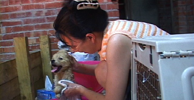 1380945232-3874263746