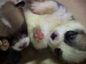 1380945233-1806531324