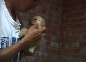 1380945233-1885933816