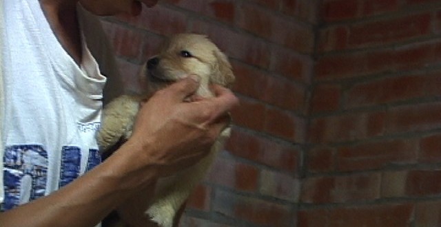 1380945233-1885933816