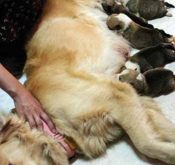 1380945233-3828389404