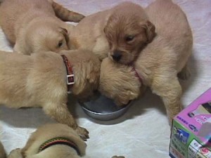 1380945235-1120977465