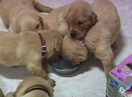 1380945235-1120977465