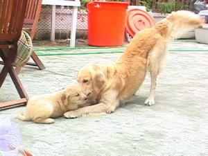 1380945235-2746562153