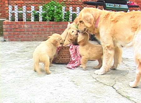 1380945236-2915546102