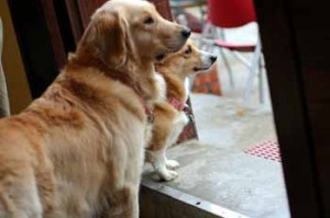 1380945236-2960210242