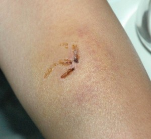 1380945256-1451801717