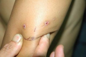 1380945257-3972757856