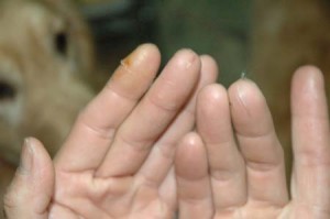 1380945290-3846342552