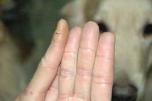 1380945291-1102405491