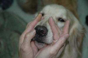 1380945291-3533792087