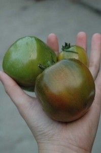 1380945388-278090643