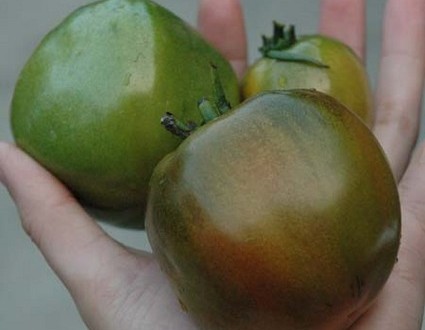 1380945388-278090643