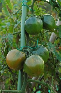 1380945389-4269949828