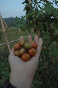 1380945391-4027932932