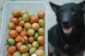 1380945391-913713004