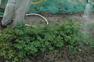 1380945392-155422513