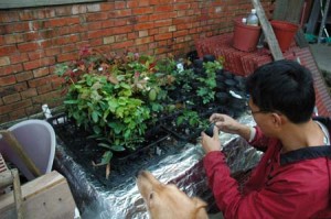 1380945421-4066520724