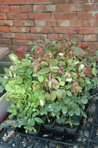 1380945422-3674395418