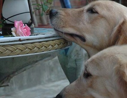 1380945422-3935928108