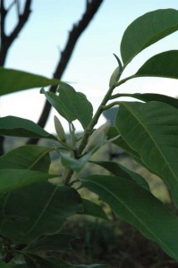 1380945489-2181049786