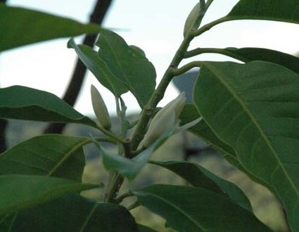 1380945489-2181049786