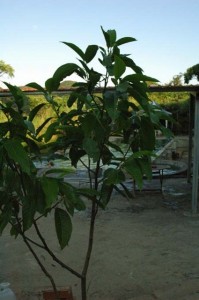 1380945489-262985026