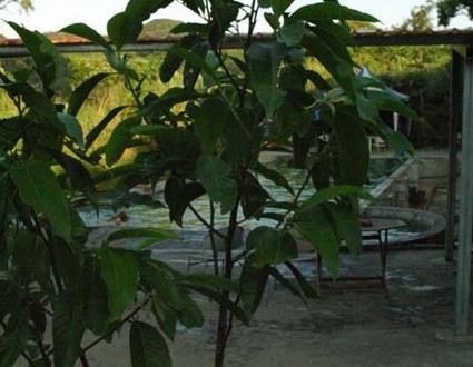 1380945489-262985026