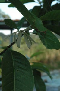 1380945490-2011541433