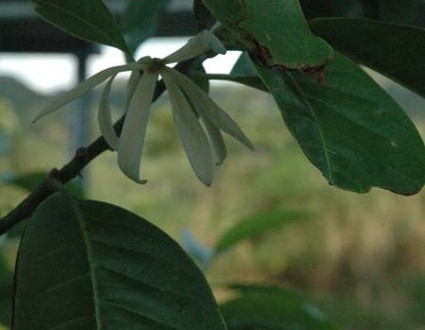 1380945490-2011541433