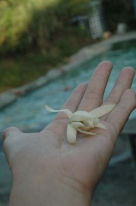 1380945490-2688169651