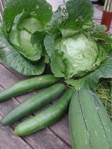 1380945494-972552313